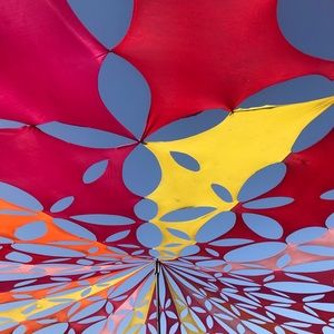 Meet your Posher, Sakshama